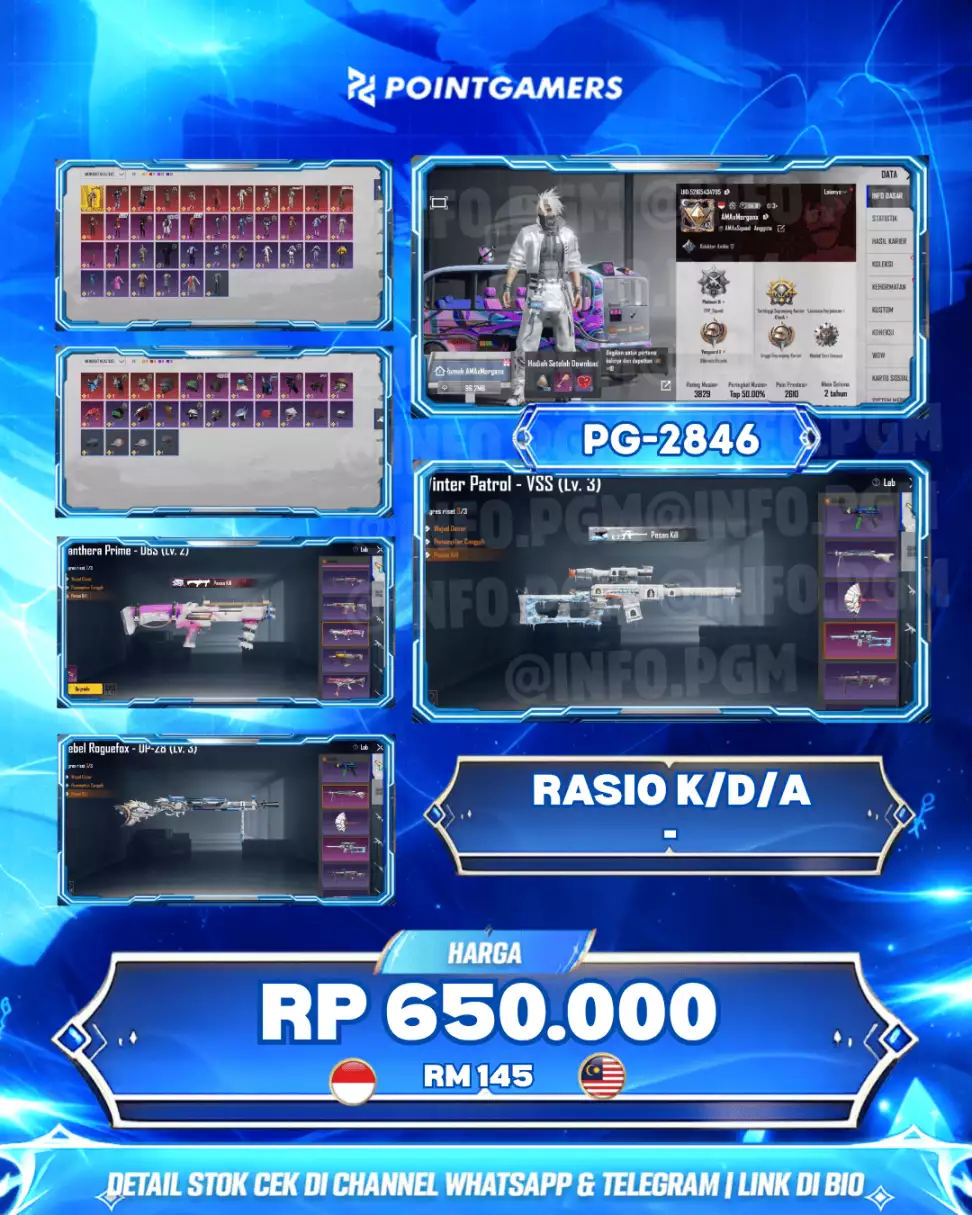PG-2846 - REBEL REGUEL FOX LVL MAX (DP-28), WINTER PATROL LVL MAX (VSS)